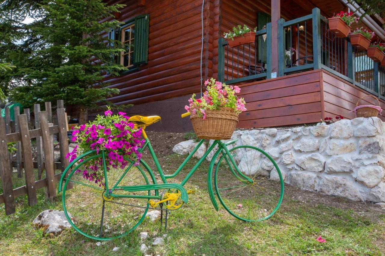 Villa Piccolo Orso Žabljak Εξωτερικό φωτογραφία